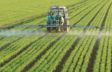 In Italia, e in tutta Europa, torna a crescere l’uso di pesticidi in agricoltura