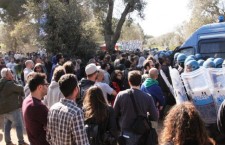 Solidarietà con il “popolo degli ulivi”: migliaia di firme