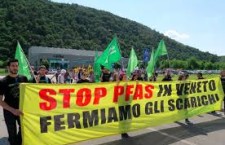 Veneto, l’allarme di Arpav: troppi Pfas e pesticidi nelle acque