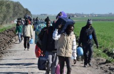 Migranti. Nuovi schiavi per i caporali (grazie al decreto Salvini)