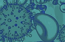 Coronavirus, realmente a cosa ci troviamo di fronte?