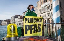Pfas e gravidanza, i dati sconcertanti sugli effetti delle donne in Veneto
