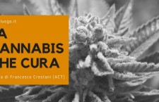 La cannabis che cura