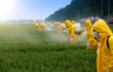 Pesticidi vietati ma ancora in uso: 236 deroghe in Europa (in Italia sono 14)