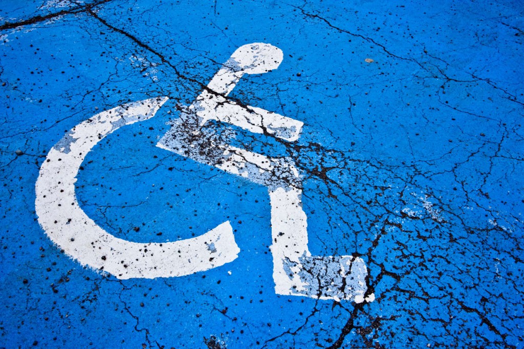 disabilità2
