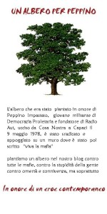 querciapeppino