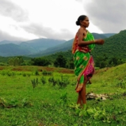 SEED-STORIES-di-Chitrangada-Choudhury-1030×579