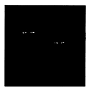 container-low