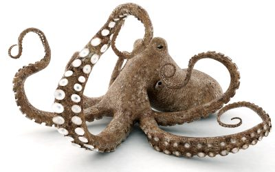 I tentacoli di Big Food