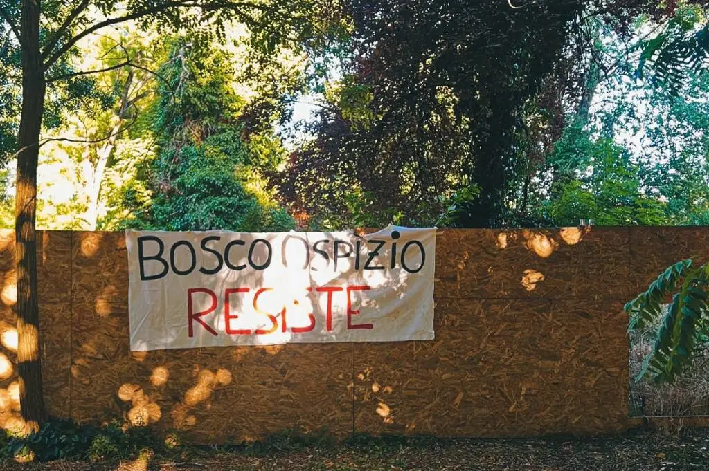 Riflessione e proposta per contrastare la distruzione del Bosco Ospizio di Reggio Emilia