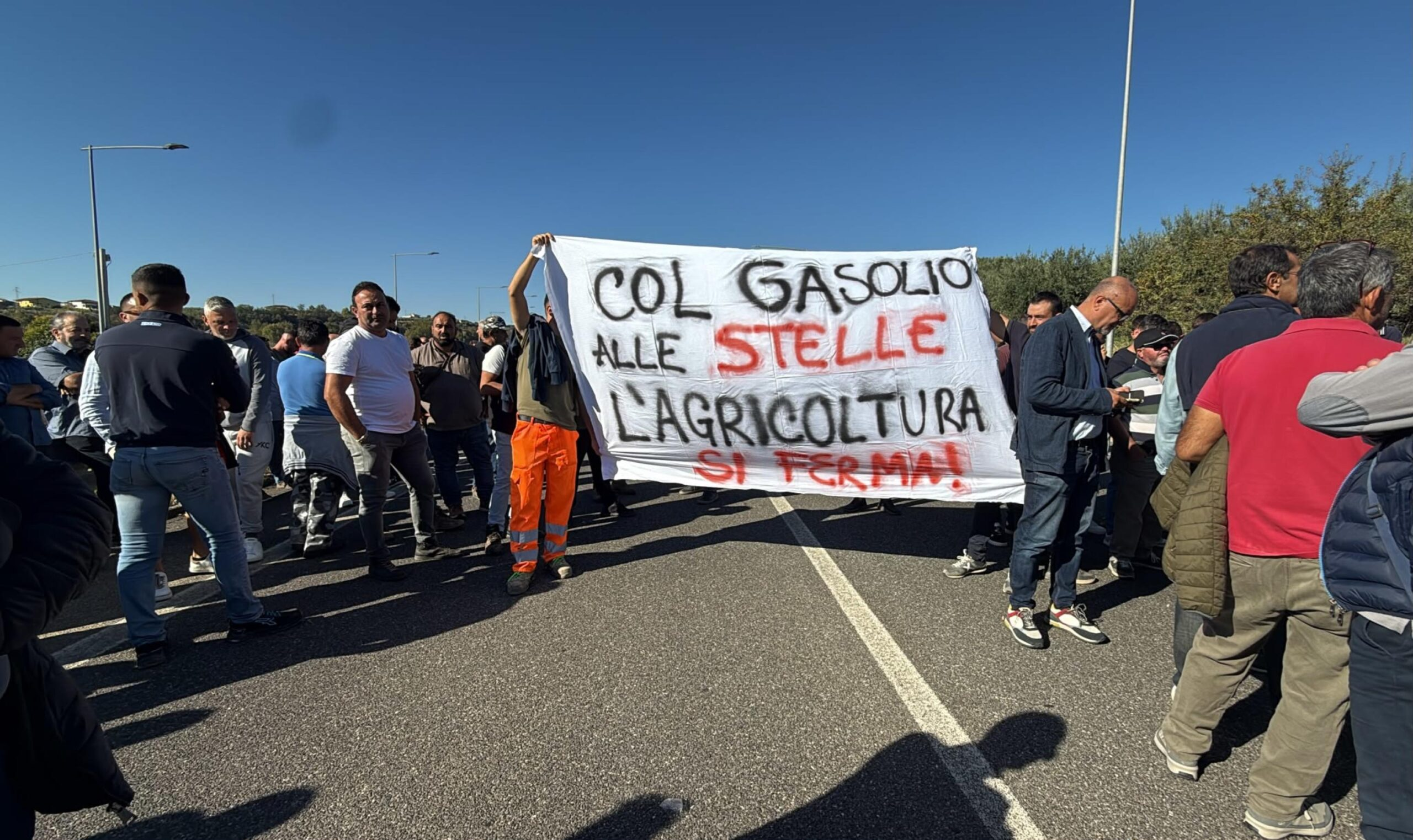 Il Sud si ribella: la realtà che non si vuole vedere né far vedere